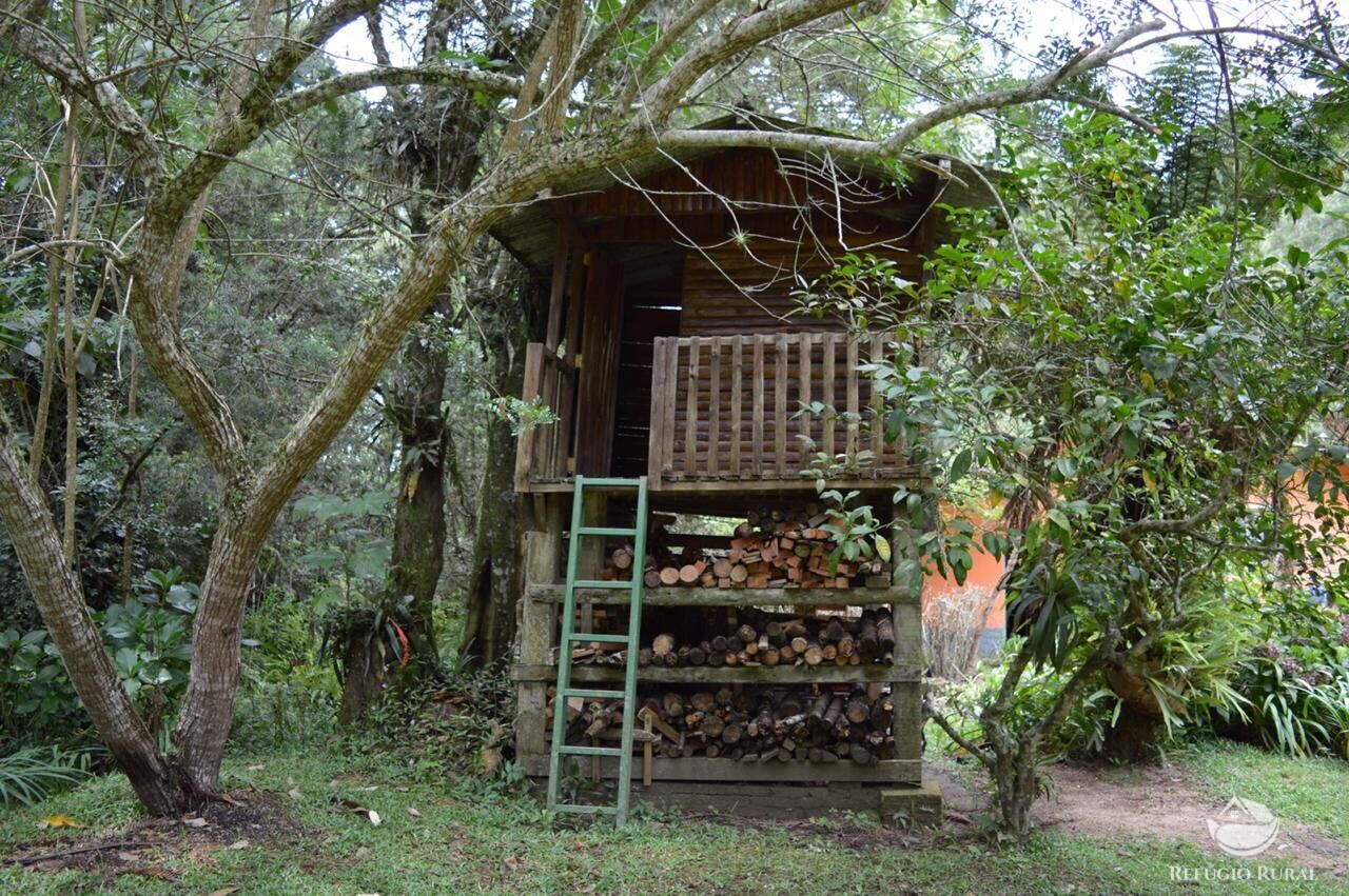 Fazenda à venda com 3 quartos, 36000m² - Foto 18