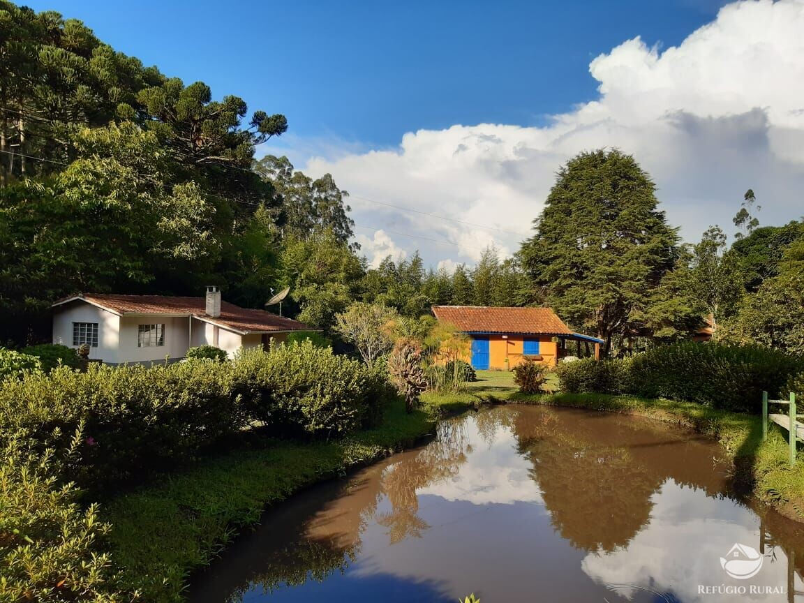 Fazenda à venda com 3 quartos, 36000m² - Foto 3