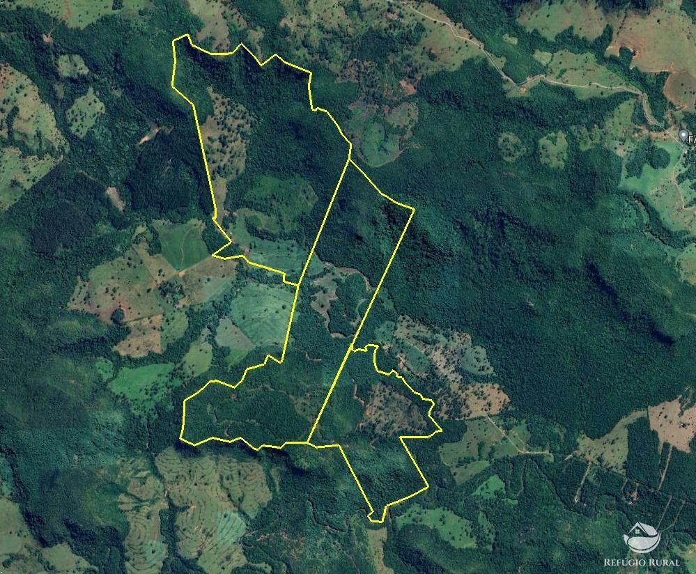 Fazenda, 303 hectares - Foto 8
