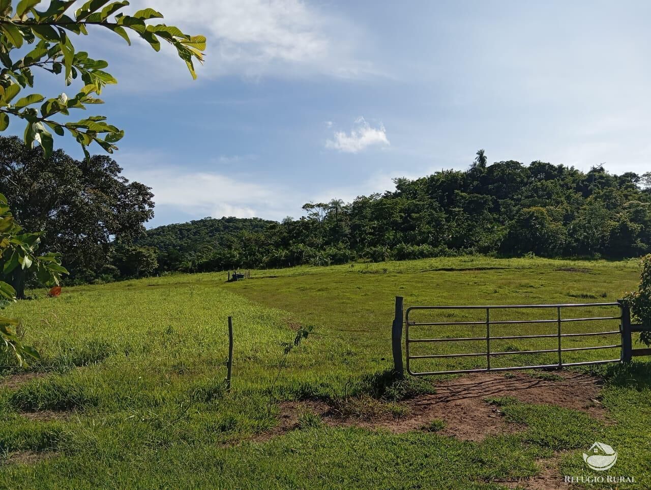 Fazenda, 303 hectares - Foto 1