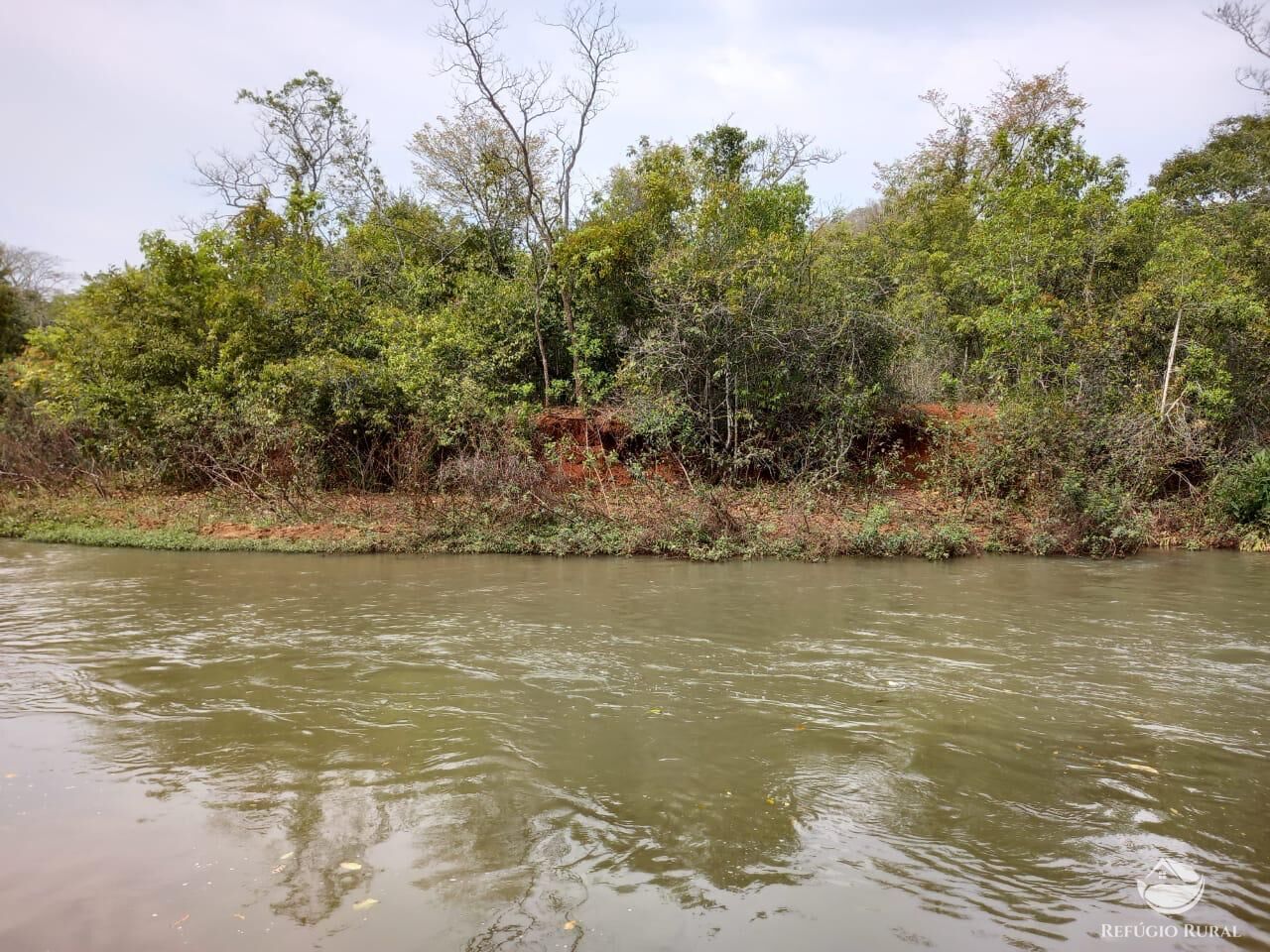 Fazenda, 303 hectares - Foto 7
