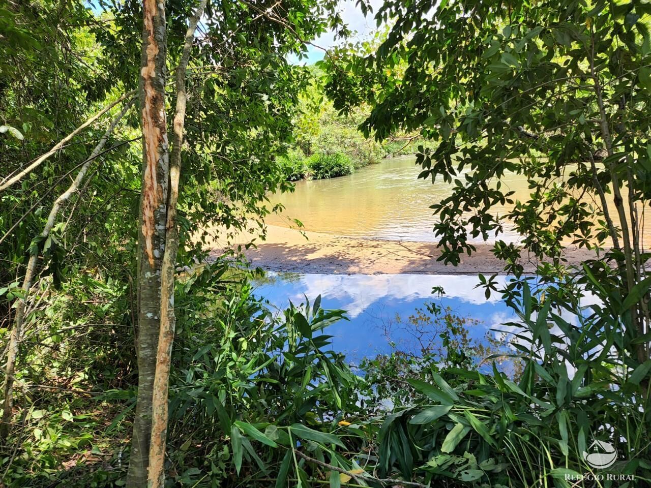 Fazenda, 303 hectares - Foto 2