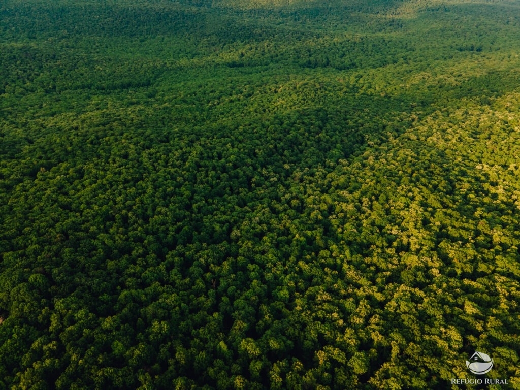 Fazenda à venda com 1 quarto, 16000000m² - Foto 1