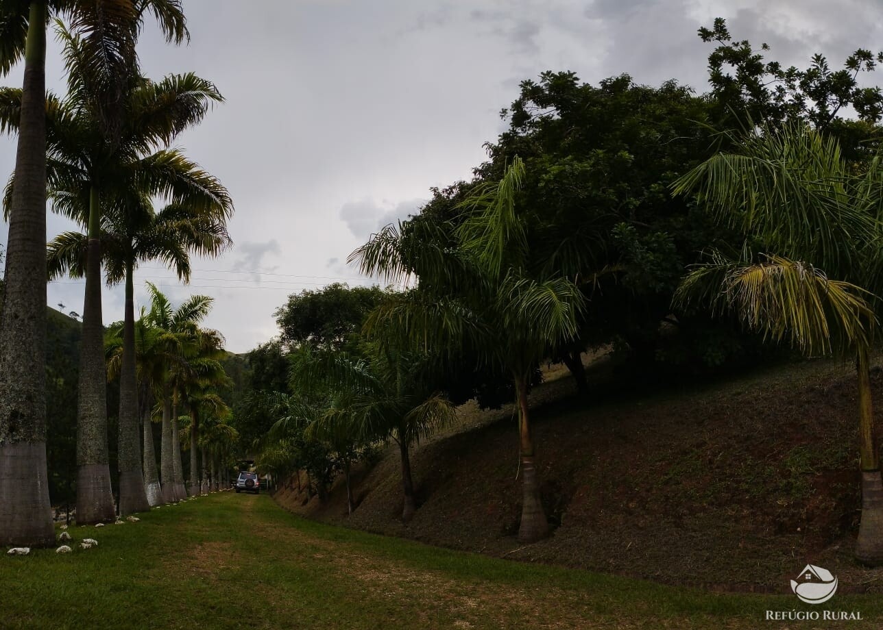 Fazenda à venda com 3 quartos, 19m² - Foto 36