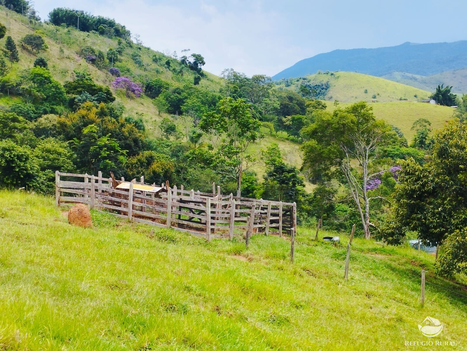 Fazenda à venda com 3 quartos, 19m² - Foto 8