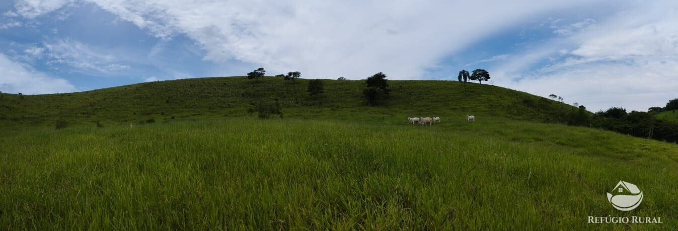 Fazenda à venda com 3 quartos, 19m² - Foto 14