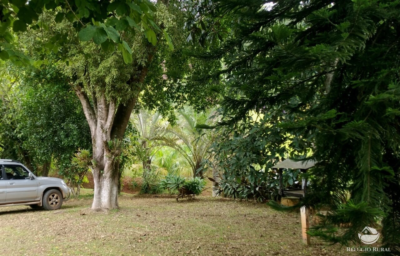 Fazenda à venda com 3 quartos, 19m² - Foto 41