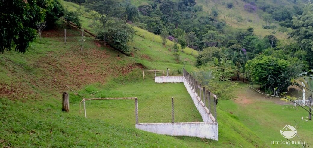 Fazenda à venda com 3 quartos, 19m² - Foto 38