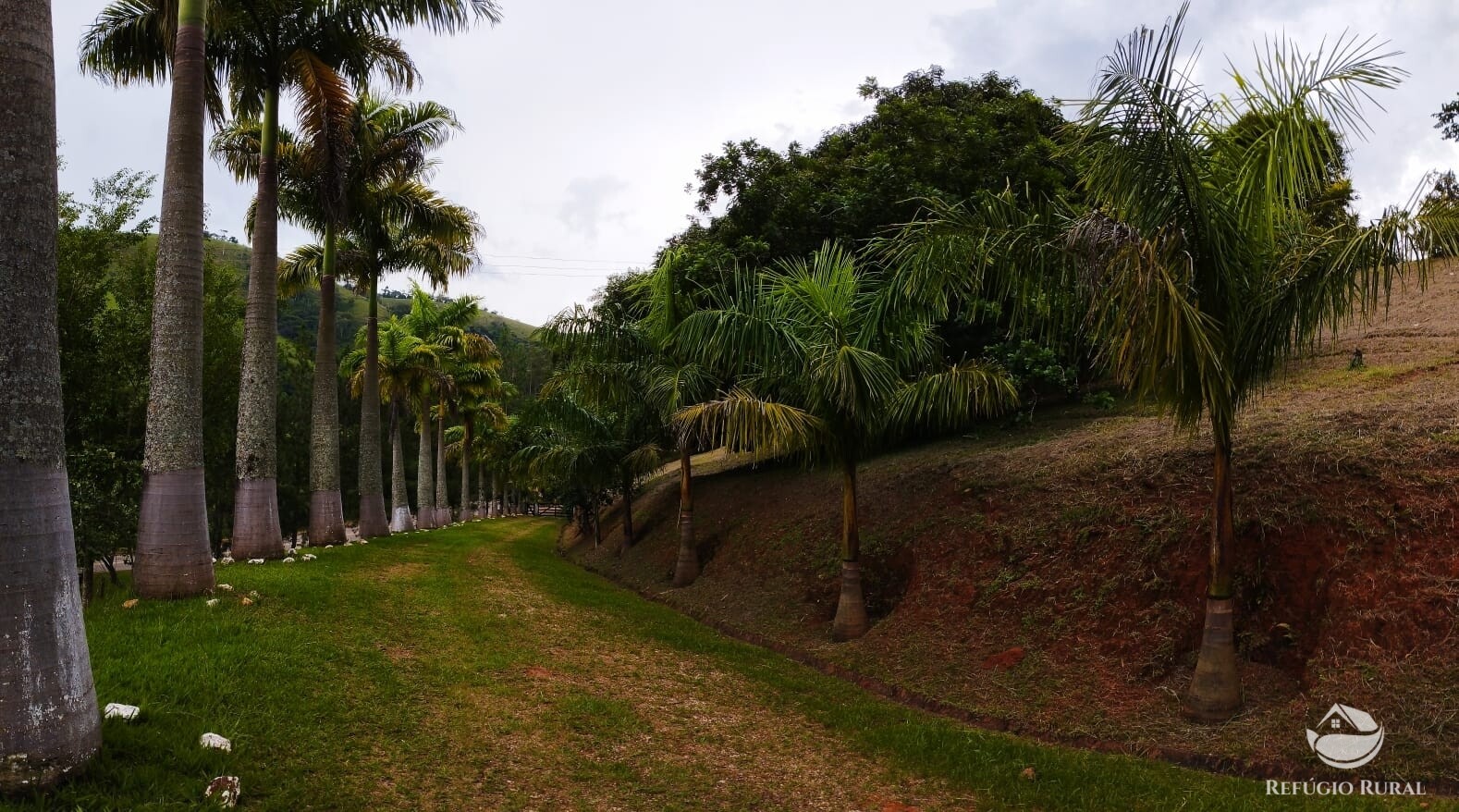 Fazenda à venda com 3 quartos, 19m² - Foto 32