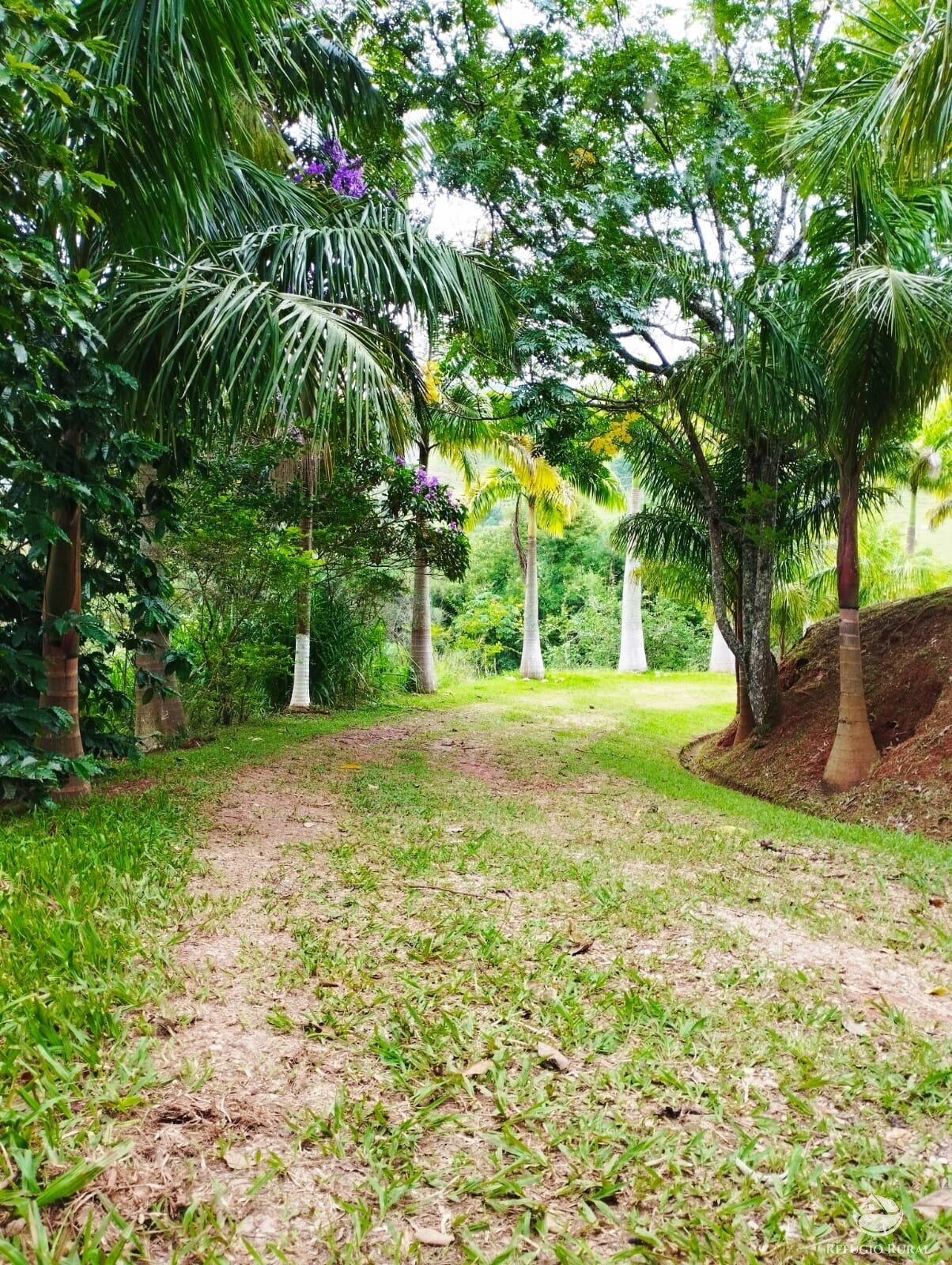 Fazenda à venda com 3 quartos, 19m² - Foto 34