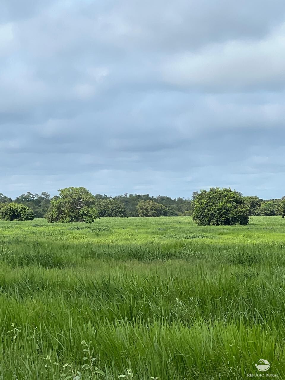 Fazenda à venda com 1 quarto, 41914399m² - Foto 15