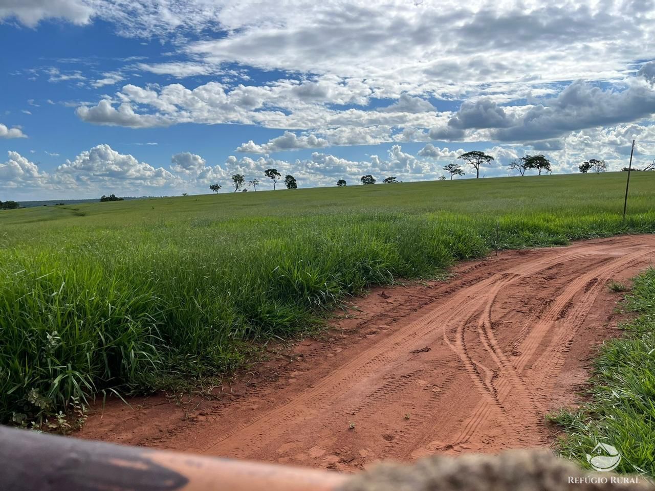 Fazenda à venda com 3 quartos, 1926300m² - Foto 11