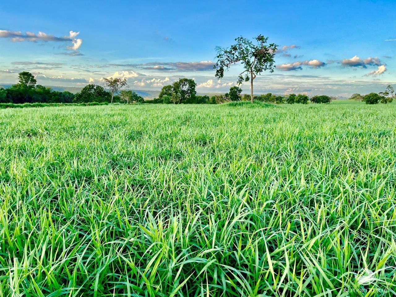 Fazenda à venda com 3 quartos, 1926300m² - Foto 1