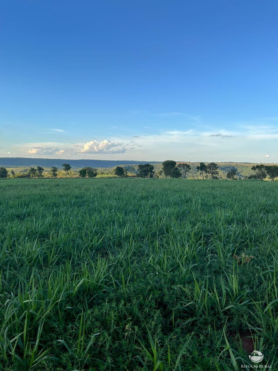 Fazenda à venda com 3 quartos, 1926300m² - Foto 5