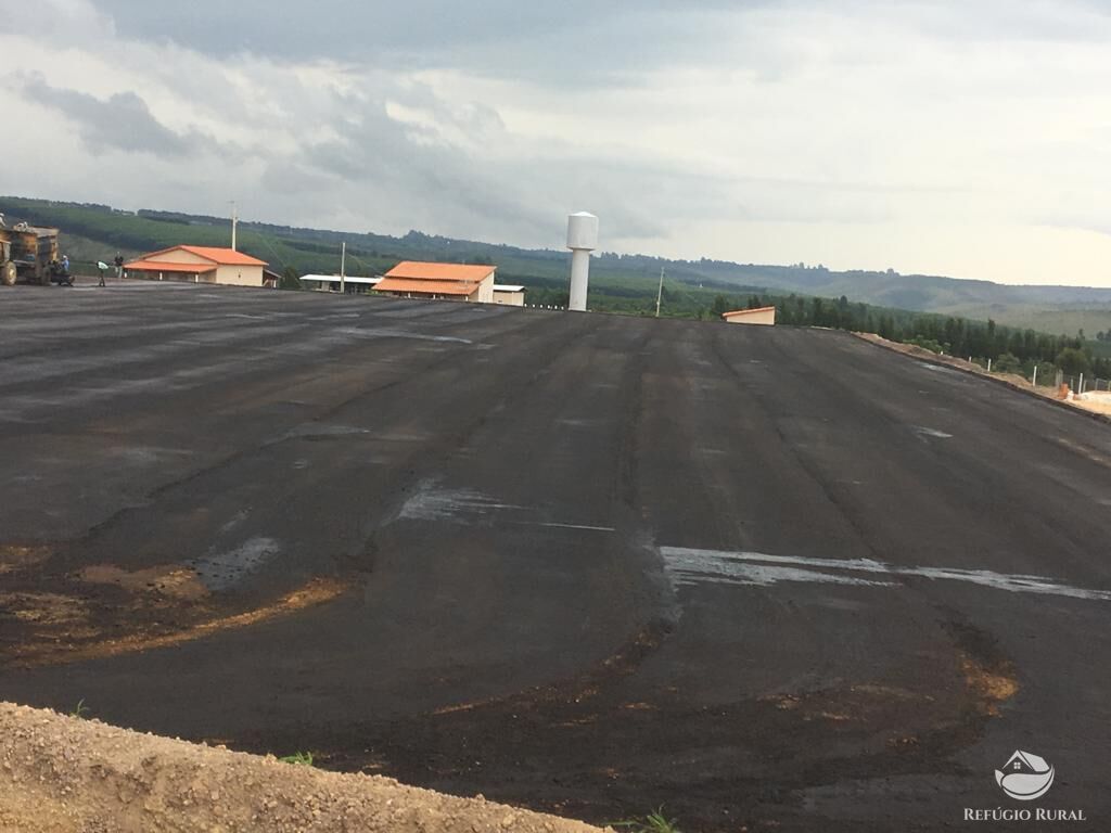 Fazenda à venda com 3 quartos, 1500000m² - Foto 17