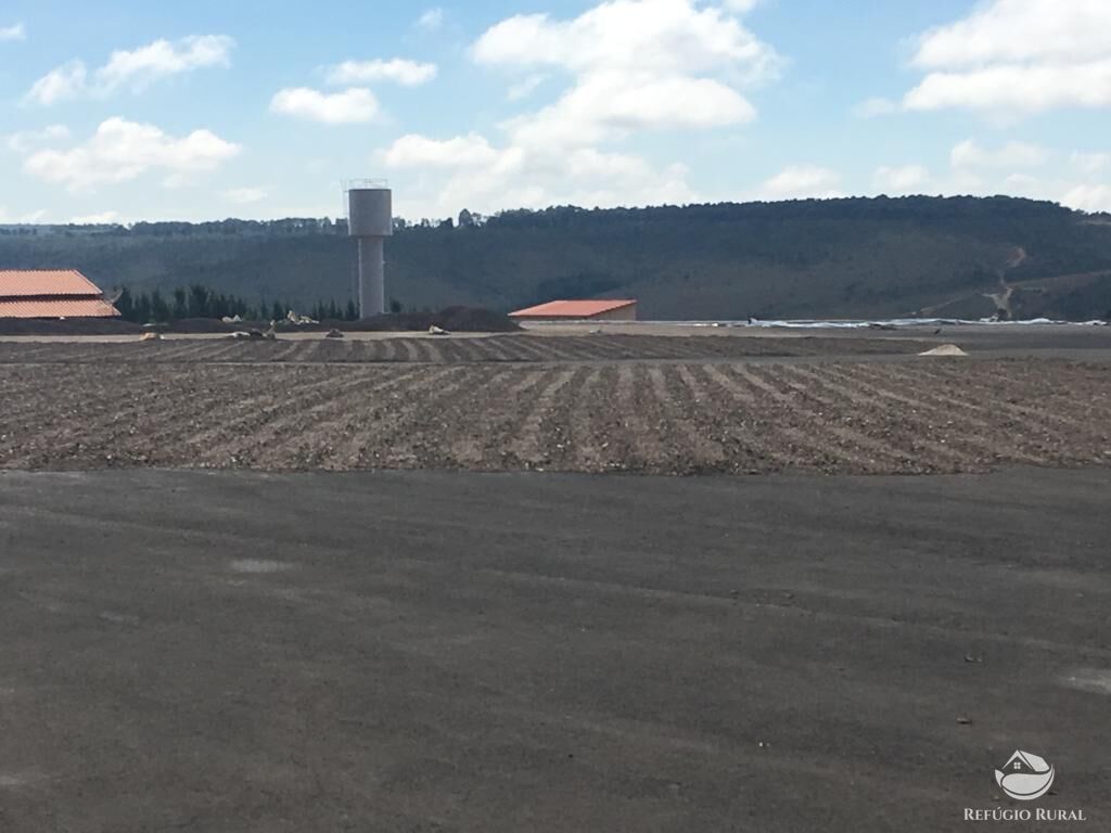 Fazenda à venda com 3 quartos, 1500000m² - Foto 6