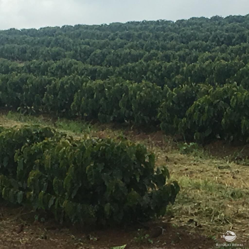 Fazenda à venda com 3 quartos, 1500000m² - Foto 25