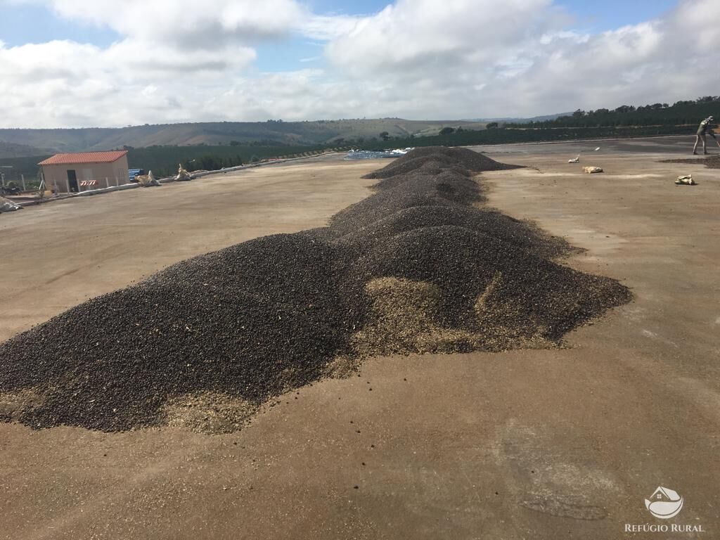 Fazenda à venda com 3 quartos, 1500000m² - Foto 5