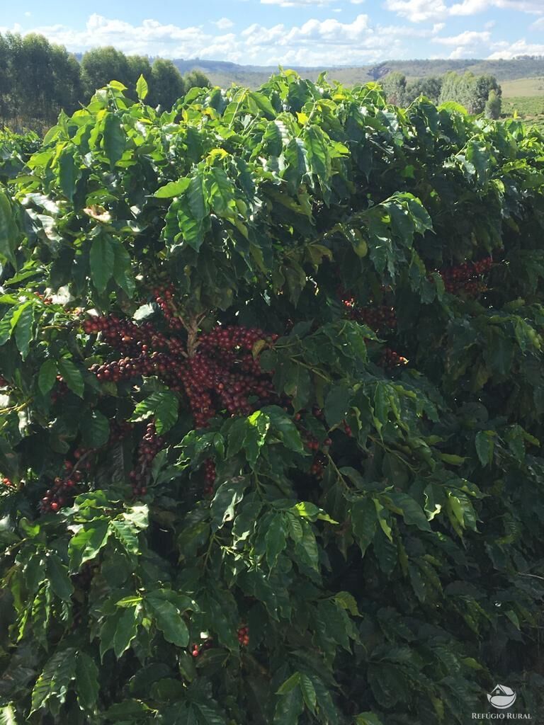 Fazenda à venda com 3 quartos, 1500000m² - Foto 27