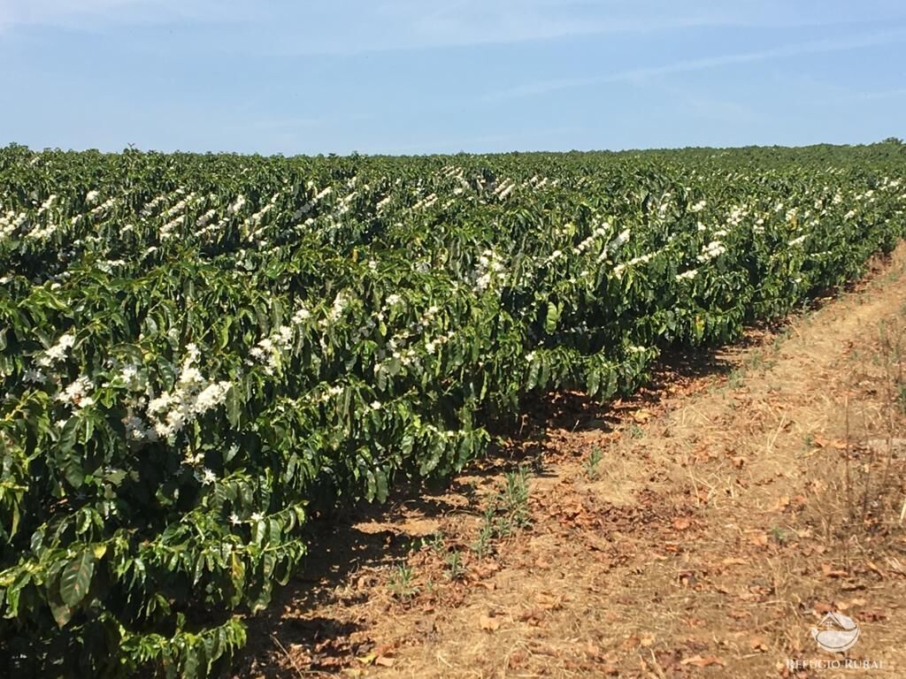 Fazenda à venda com 3 quartos, 1500000m² - Foto 26