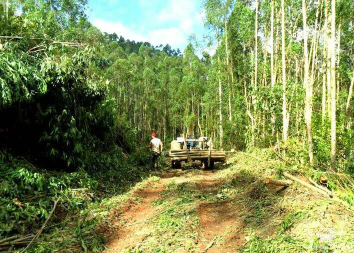 Fazenda à venda, 888100m² - Foto 2