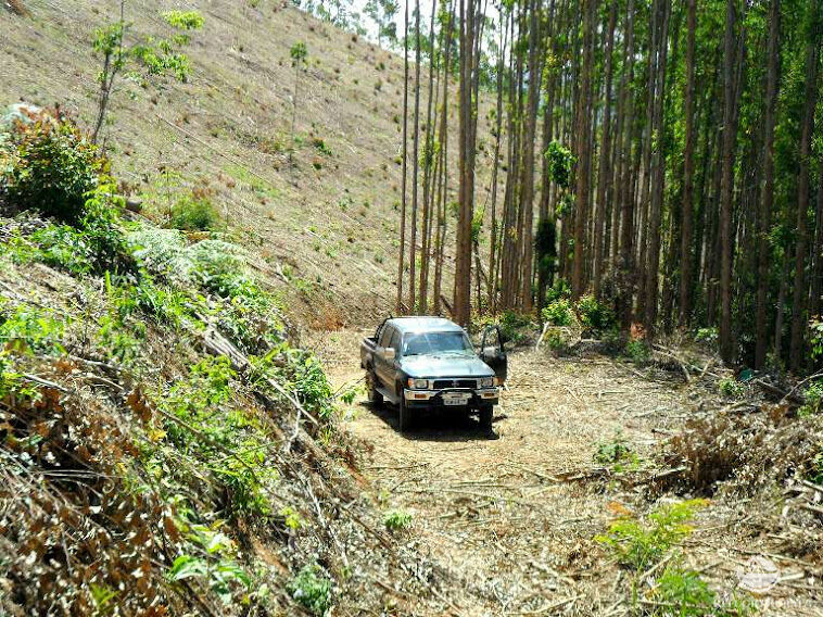 Fazenda à venda, 888100m² - Foto 26