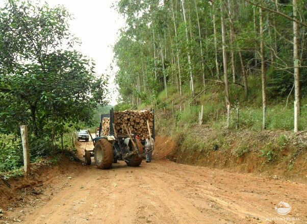 Fazenda à venda, 888100m² - Foto 5