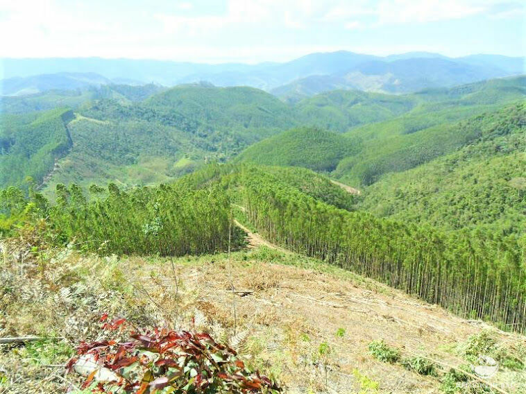 Fazenda à venda, 888100m² - Foto 1