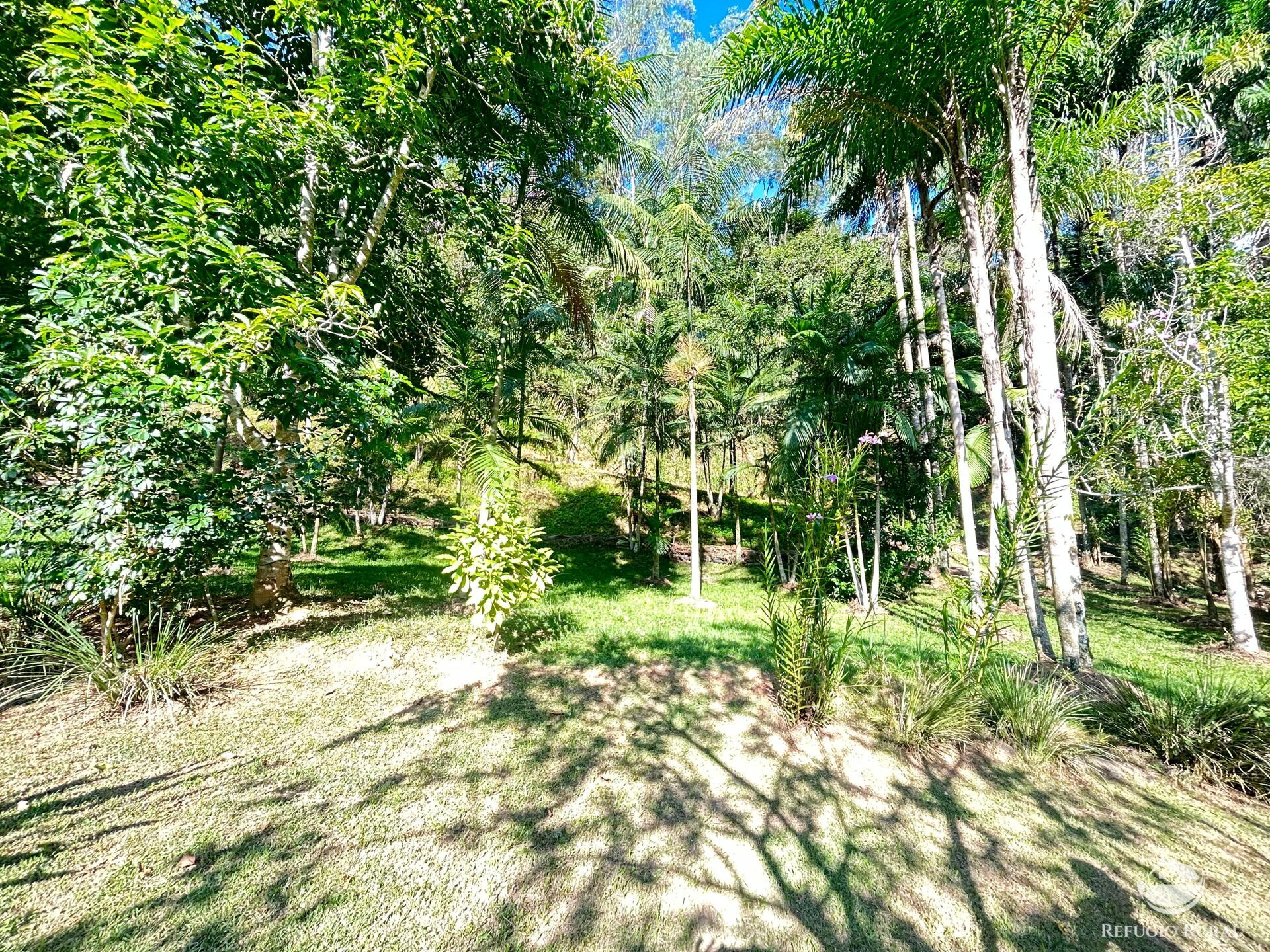 Sítio à venda com 2 quartos, 145200m² - Foto 44