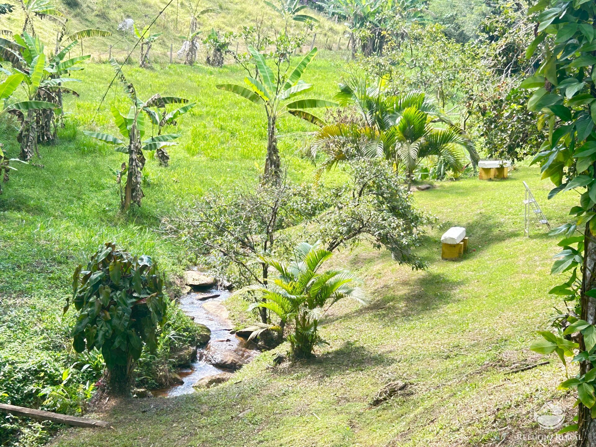 Sítio à venda com 2 quartos, 145200m² - Foto 17