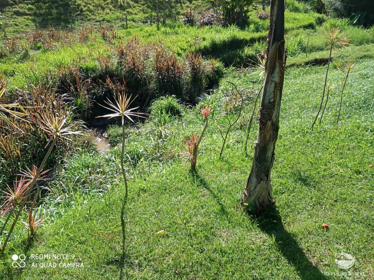 Fazenda à venda, 14m² - Foto 14