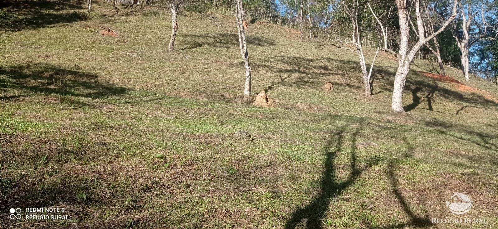 Fazenda à venda, 14m² - Foto 30