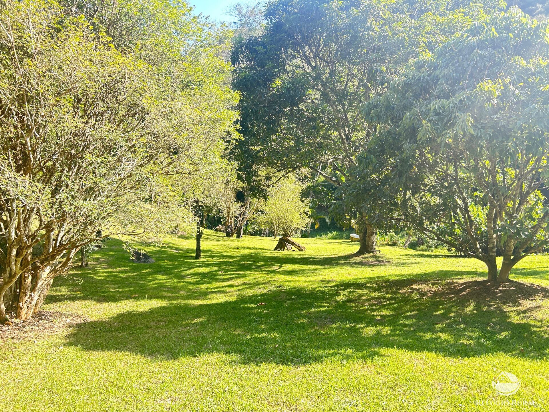 Sítio à venda com 2 quartos, 145200m² - Foto 38