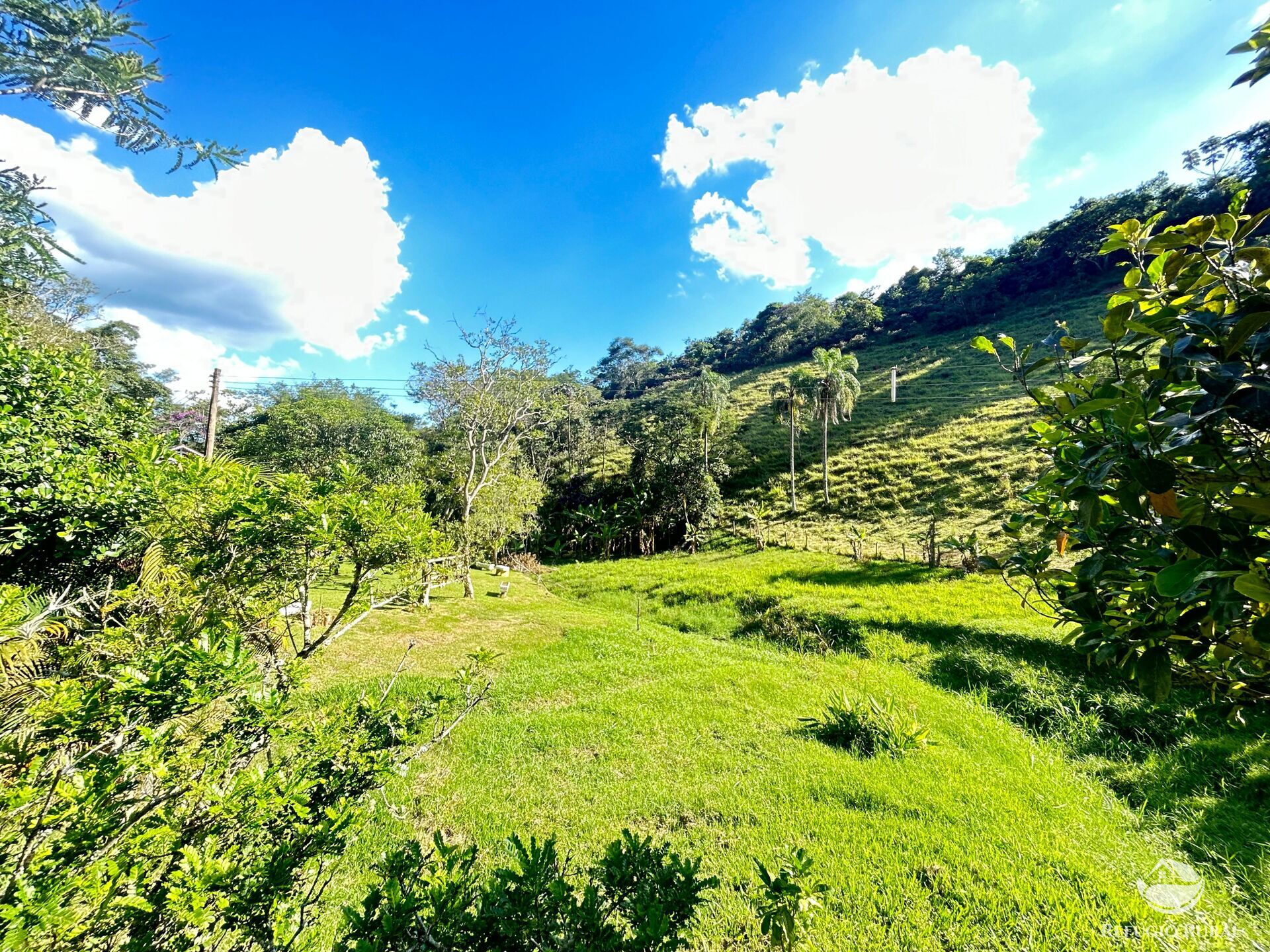 Sítio à venda com 2 quartos, 145200m² - Foto 40