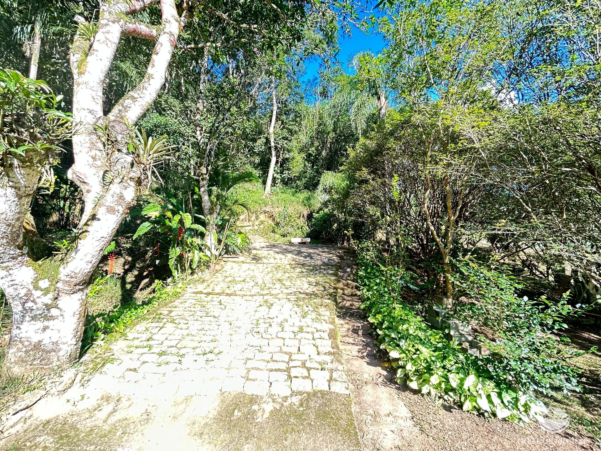 Sítio à venda com 2 quartos, 145200m² - Foto 48