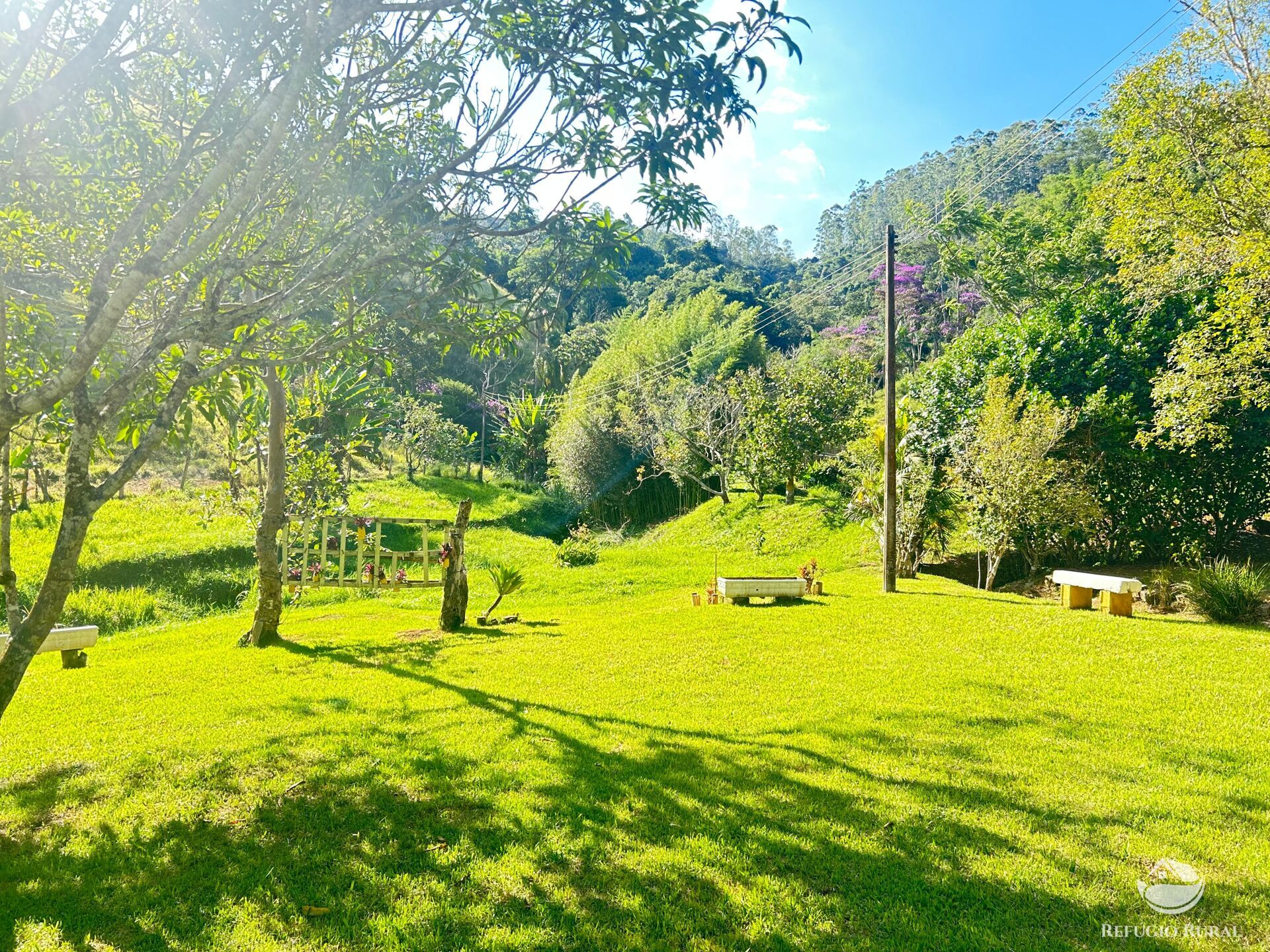 Sítio à venda com 2 quartos, 145200m² - Foto 37