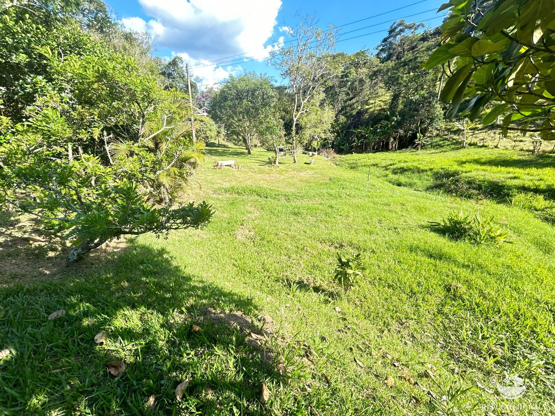 Sítio à venda com 2 quartos, 145200m² - Foto 42