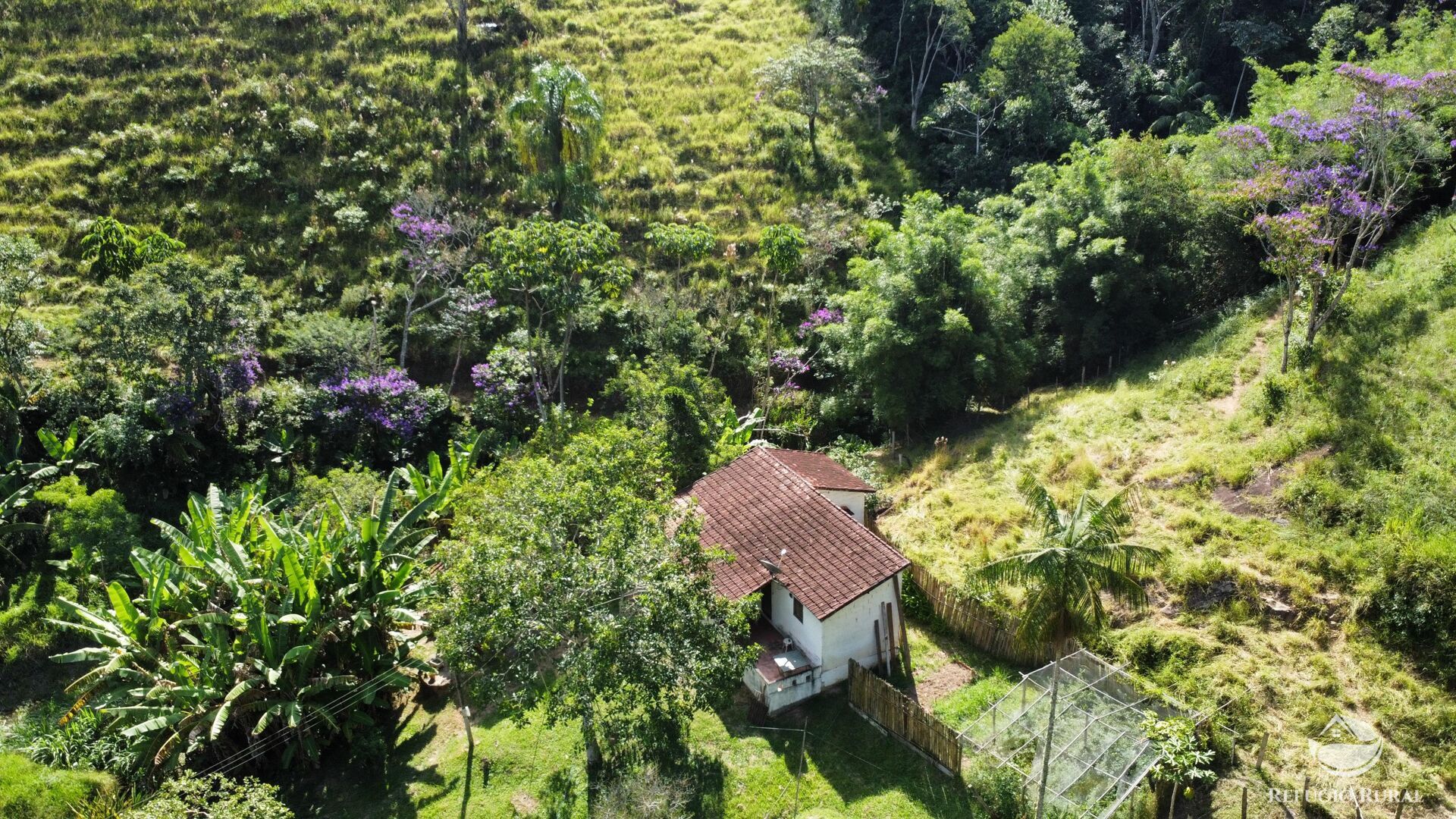 Sítio à venda com 2 quartos, 145200m² - Foto 30