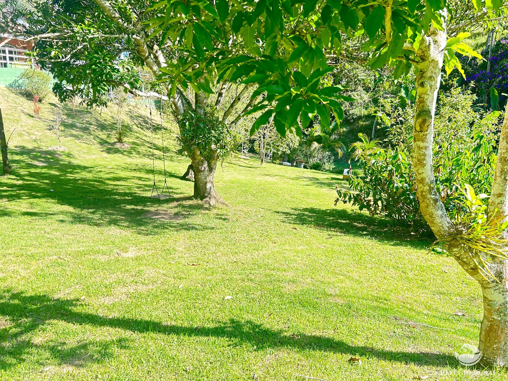 Sítio à venda com 2 quartos, 145200m² - Foto 39