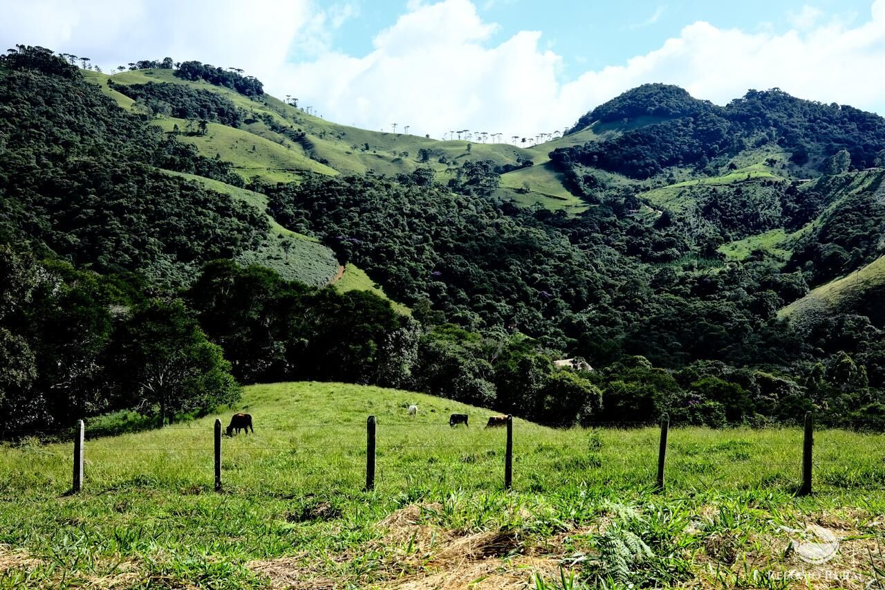 Terreno à venda, 22000m² - Foto 8