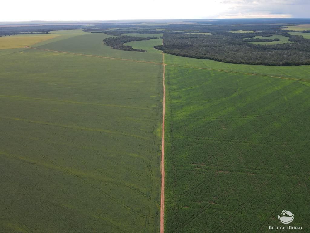 Fazenda à venda com 2 quartos, 8580000m² - Foto 9