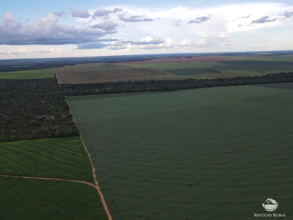 Fazenda à venda com 2 quartos, 8580000m² - Foto 7