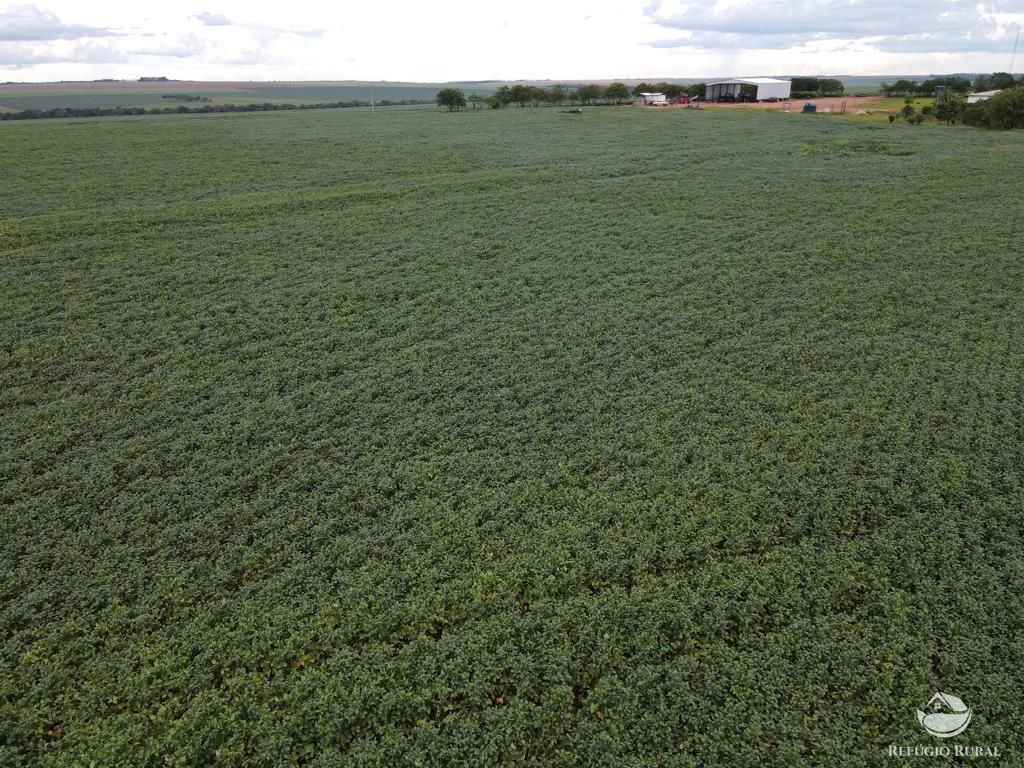 Fazenda à venda com 2 quartos, 8580000m² - Foto 10