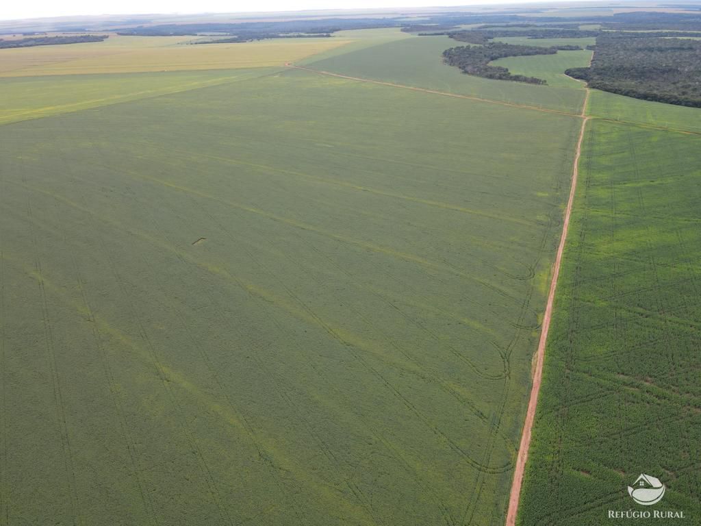 Fazenda à venda com 2 quartos, 8580000m² - Foto 8