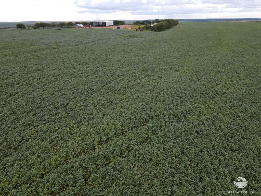 Fazenda à venda com 2 quartos, 8580000m² - Foto 13