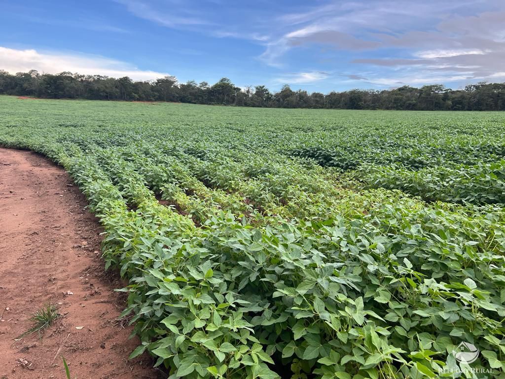 Fazenda à venda com 2 quartos, 8580000m² - Foto 19