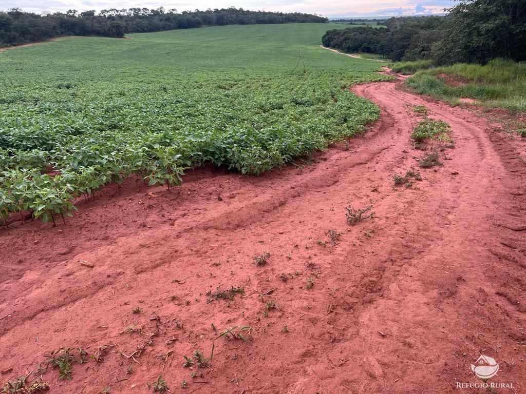 Fazenda à venda com 2 quartos, 8580000m² - Foto 18