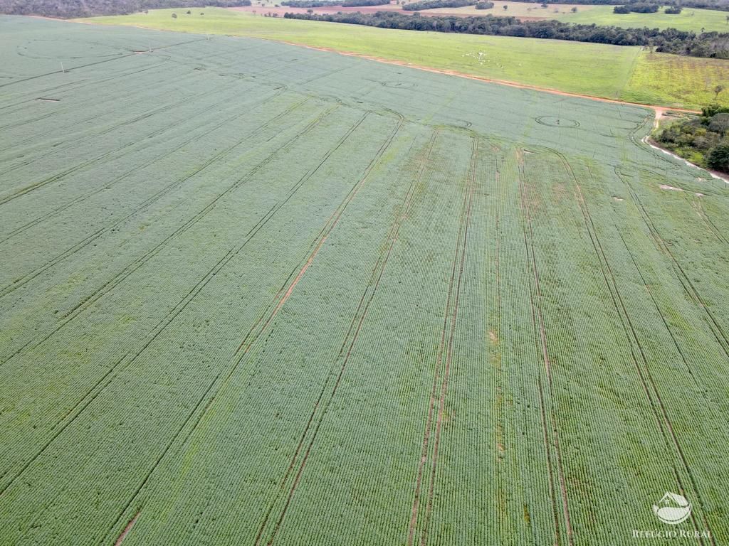 Fazenda à venda com 2 quartos, 8580000m² - Foto 16