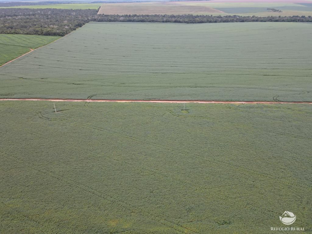 Fazenda à venda com 2 quartos, 8580000m² - Foto 14