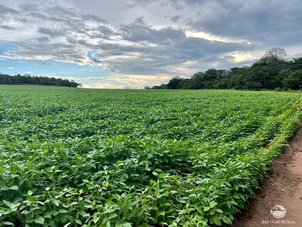 Fazenda à venda com 2 quartos, 8580000m² - Foto 3